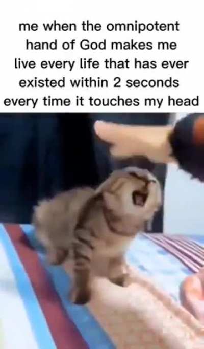 I know what you did