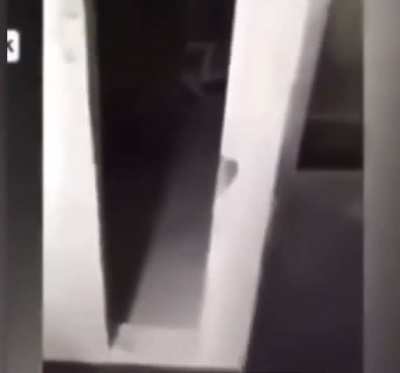 Hidden Secret Discovered Behind Paper Towel Dispenser