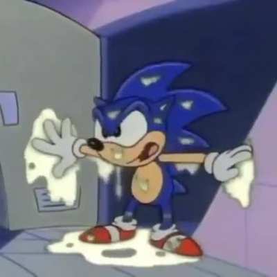 &iquest;Sonic?