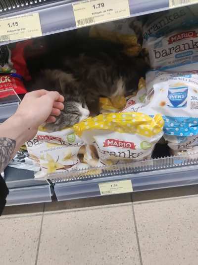 Jaunais abrand darbinieks atpū&scaron;as