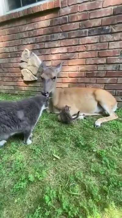 A unique group of friends