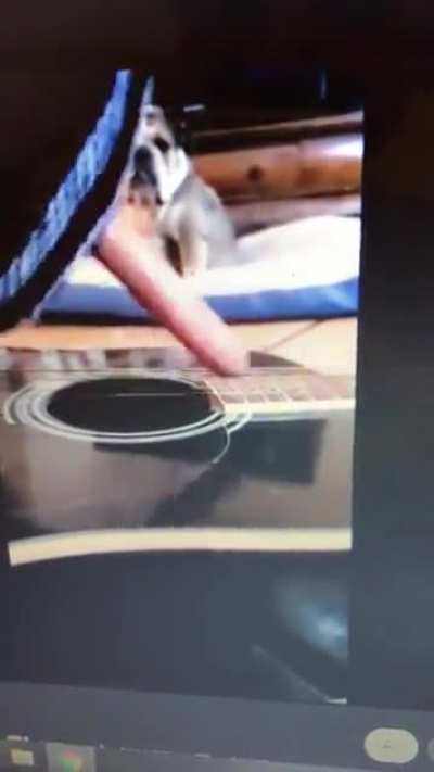 Guy fell