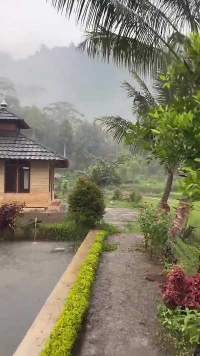 Nature&rsquo;s quiet voice speaks through the sound of rain.🍃