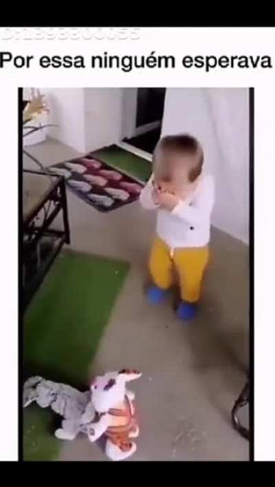 Acho que esse brinquedo n &eacute; para crian&ccedil;as