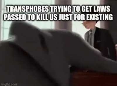 egg👨‍⚖️irl
