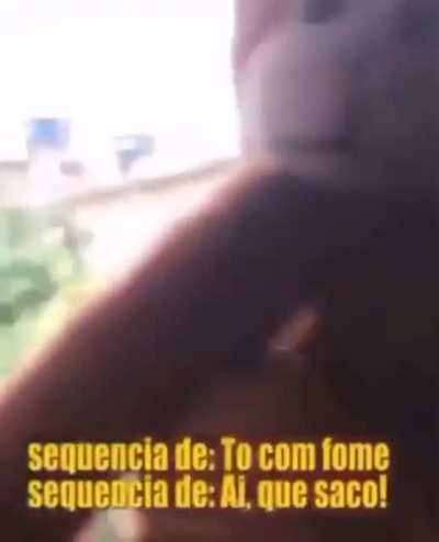 Ai minha representa&ccedil;&atilde;o na quarentena💩