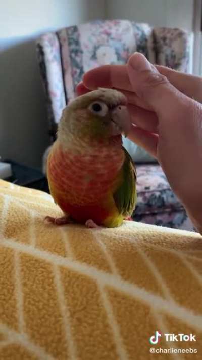 Well that's just precious