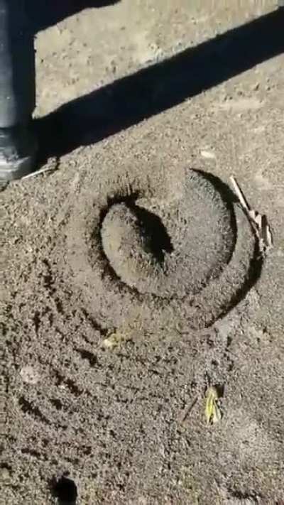 Wtf is it?