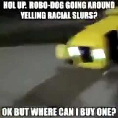 Gamer dawg