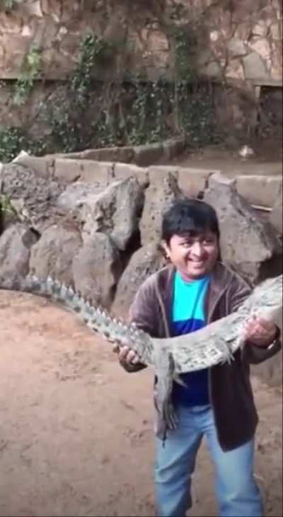 Holding a baby alligator