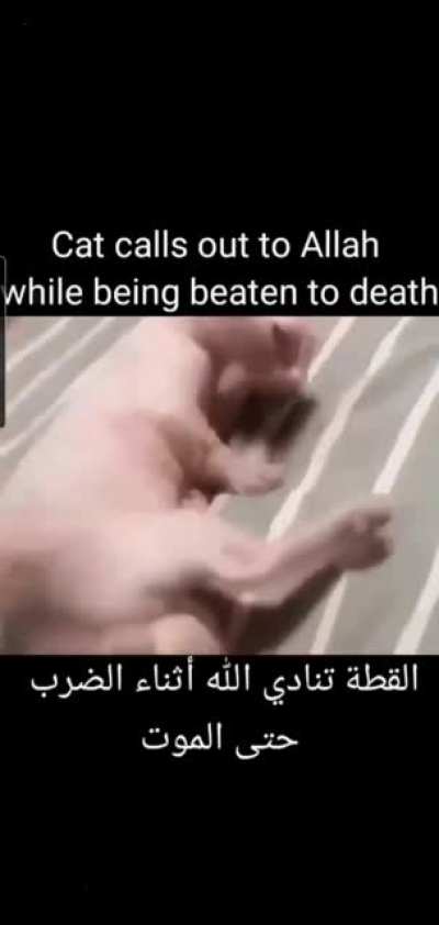 Djsnjsmenejx dnsnsmMam