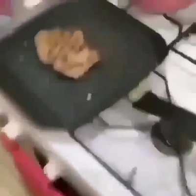 &ordf;&ordf;&ordf;