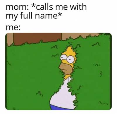 Guess i'll die