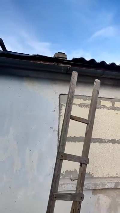 Ladder