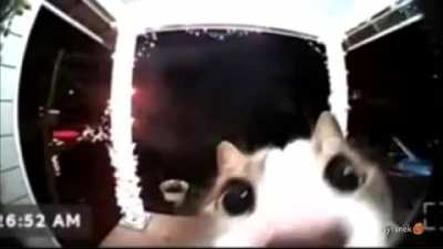 AaA
