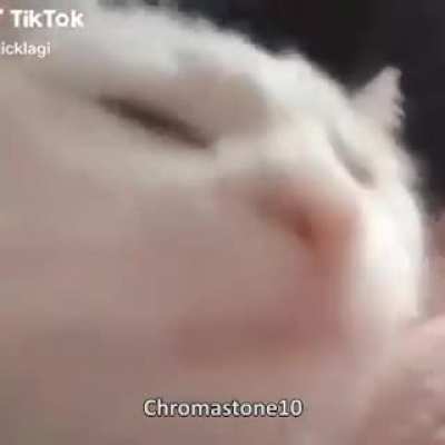Me getting groomed