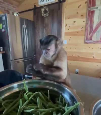 average red scare male fixing something to contribute to the subs growing food discourse