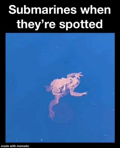 Dive, dive, dive!