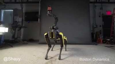 I HEARD WE ARE POSTING DOGGO.EXE VIDEOS NOW?