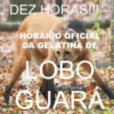 sou de cod&oacute; maranh&atilde;o
