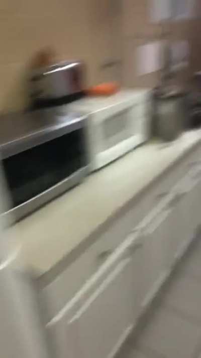 It's Fun To Stay at The Y...
