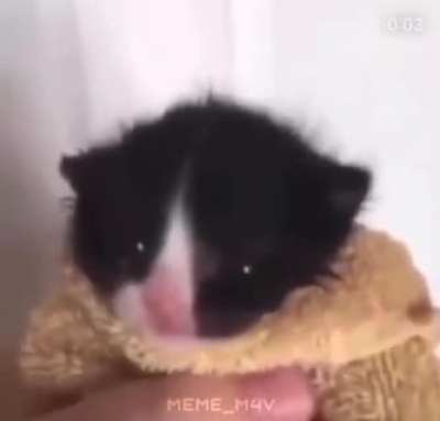 hot secks