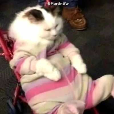 Hmm