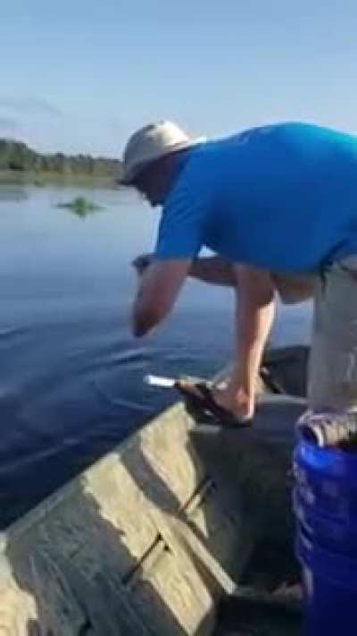 Good old catfish farming