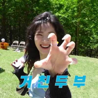 Dahyun the lioness