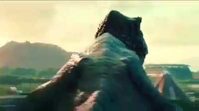 AAAA