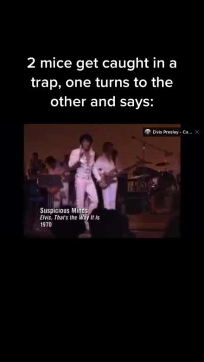 They&rsquo;re caught in a trap