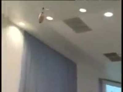 flying dildo