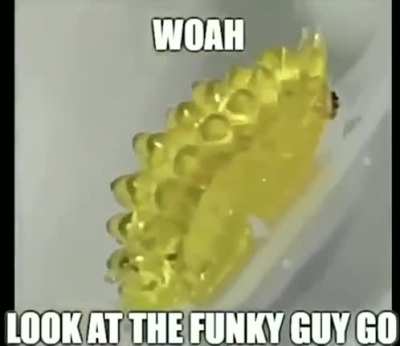 rule