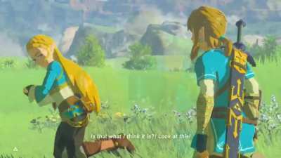 Zelda&rsquo;s Many Voices