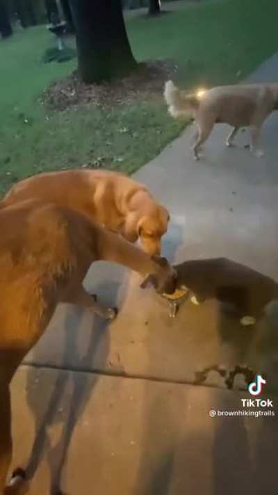 &ldquo;Mom said you can stay for dinner. We have plenty&rdquo;