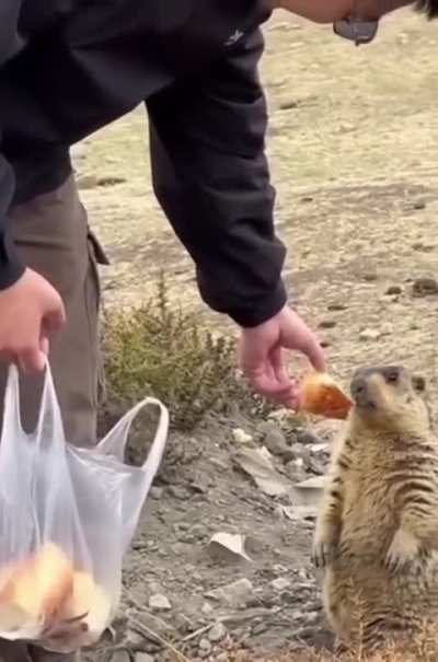 Don&rsquo;t take food from strangers