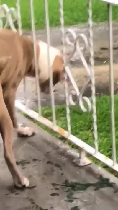 He doesn&rsquo;t understand rain