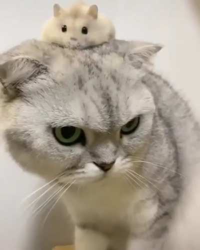 He&rsquo;s resigned to his fate.
