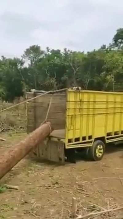 Work smart not hard..
