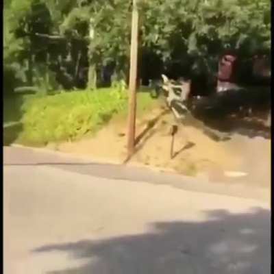 No helmet, no idea......