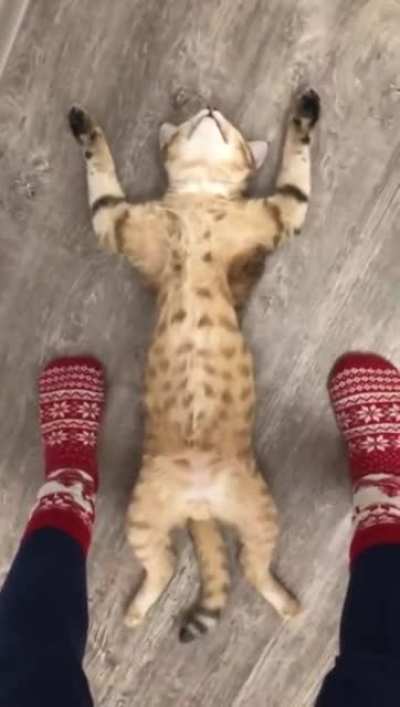 Don't disturb me.