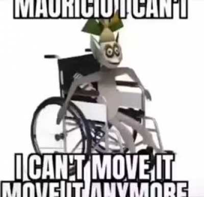 Feel free to invest in this meme