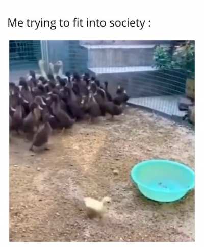 Why are you running