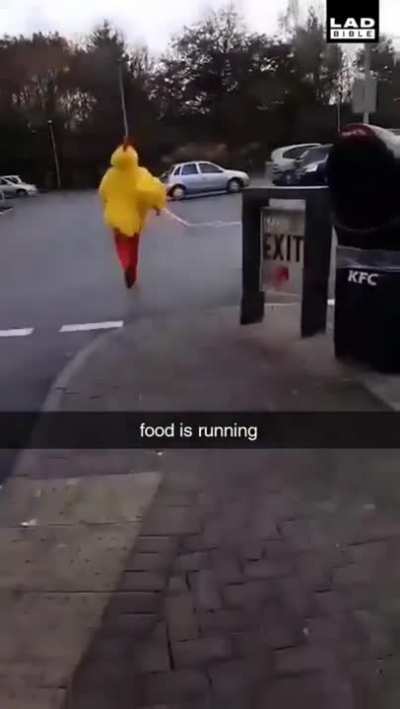 Fresh Chicken