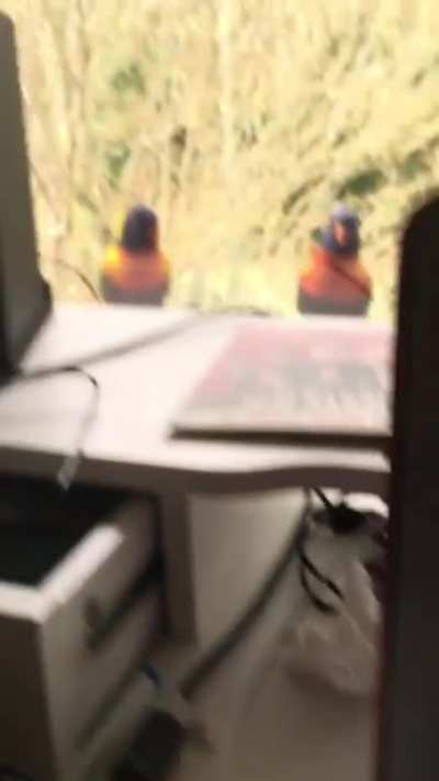 They&rsquo;re keeping tabs on me