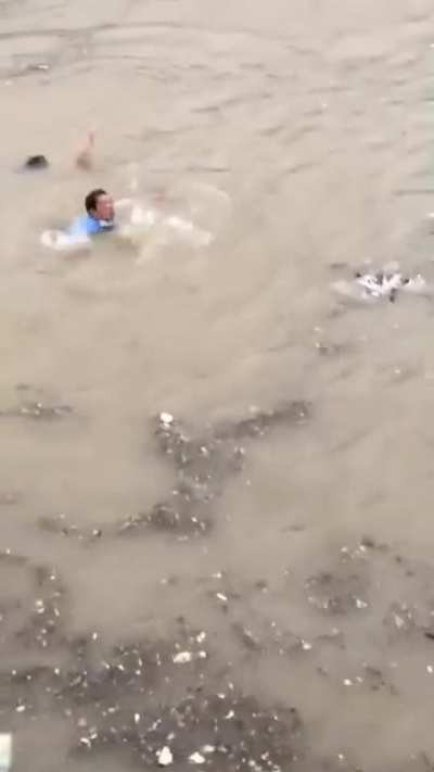 浪里白条是你吗？