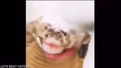 An interesting title
