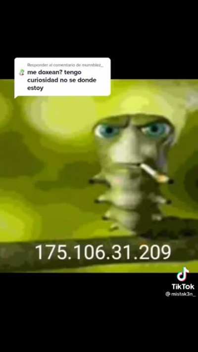 Gusano cigarro