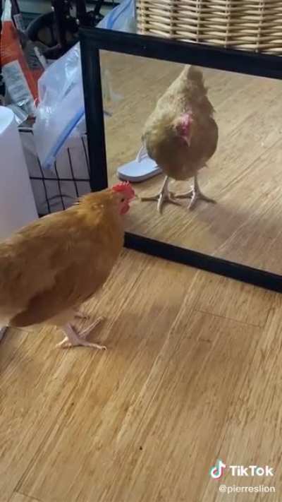 When you lose a fight against yourself