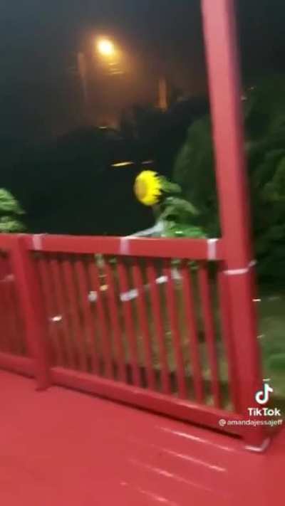Hang in there my sunny friend